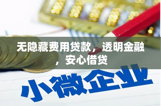 鹤山无隐藏费用贷款，透明金融，安心借贷
