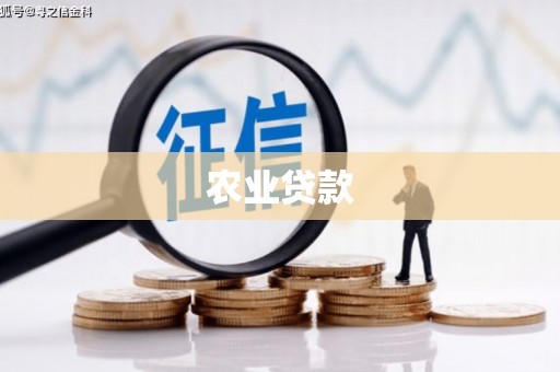 鹤山农业贷款