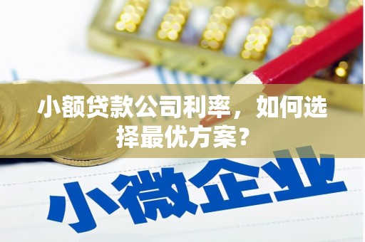 鹤山小额贷款公司利率，如何选择最优方案？