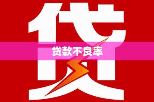 鹤山贷款不良率