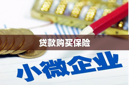 鹤山贷款购买保险