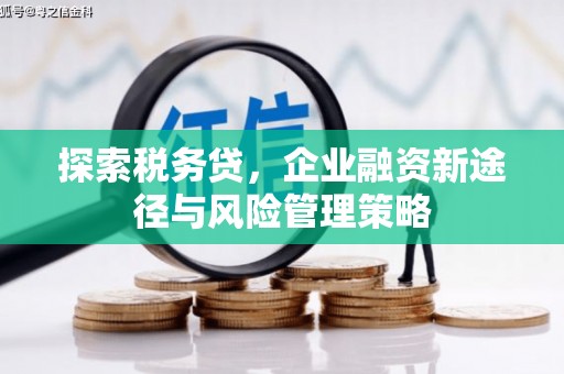 鹤山探索税务贷，企业融资新途径与风险管理策略