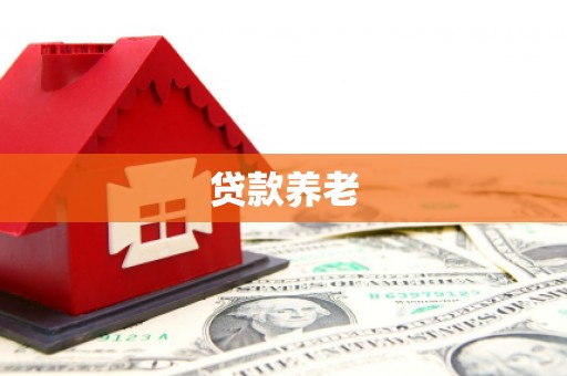 鹤山贷款养老